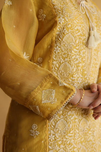 Mustard Noor Organza Silk Chikankari Straight Cut Kurta Dupatta Set