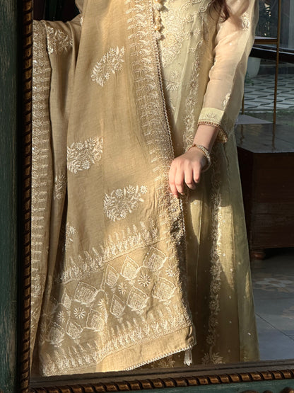 Natural Shade Fine Chikankari Ari Tissue Silk Dupatta