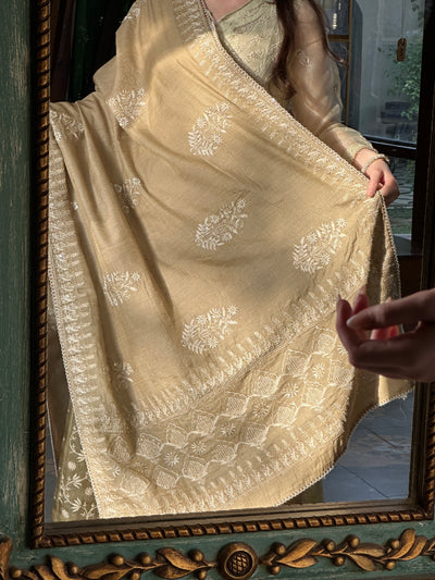 Natural Shade Fine Chikankari Ari Tissue Silk Dupatta