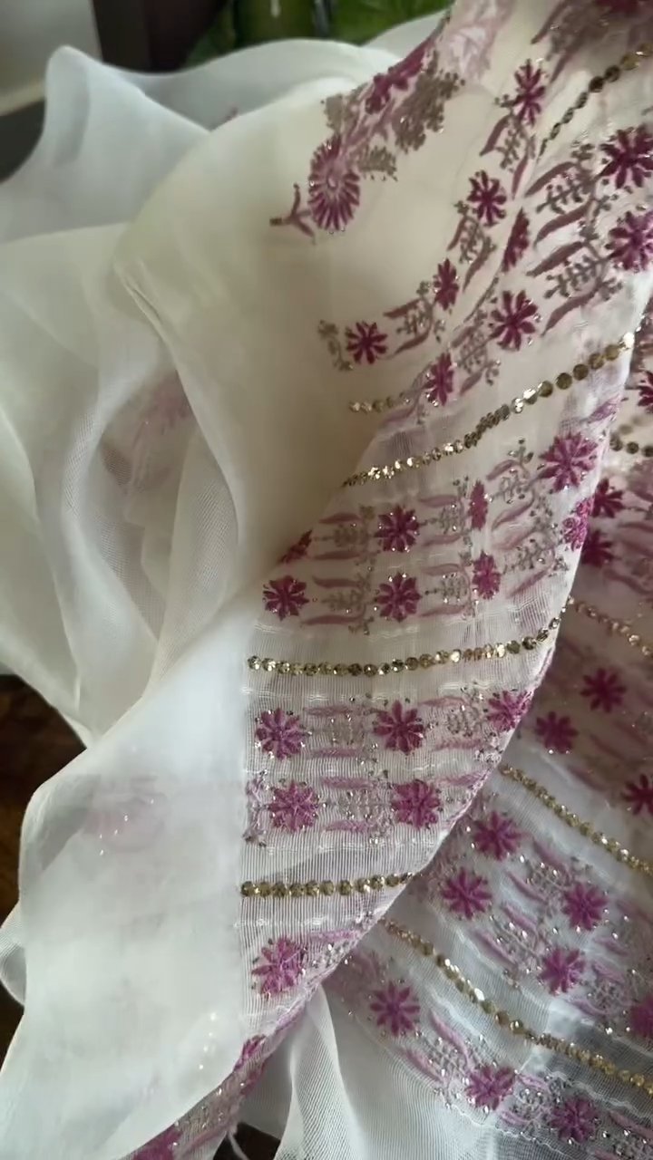 Natural White Net Organza Chikankari Saree With Mukaish Kamdani