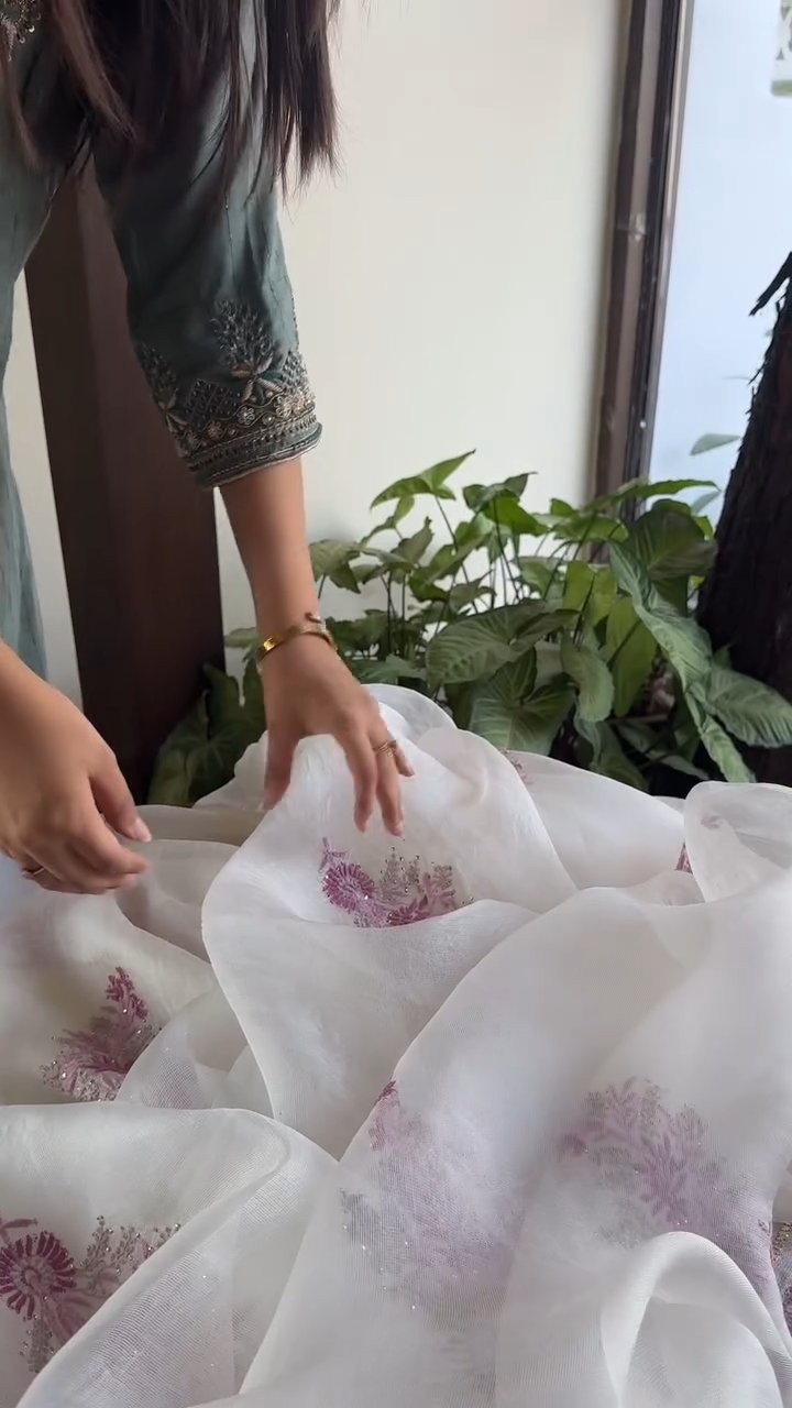 Natural White Net Organza Chikankari Saree With Mukaish Kamdani
