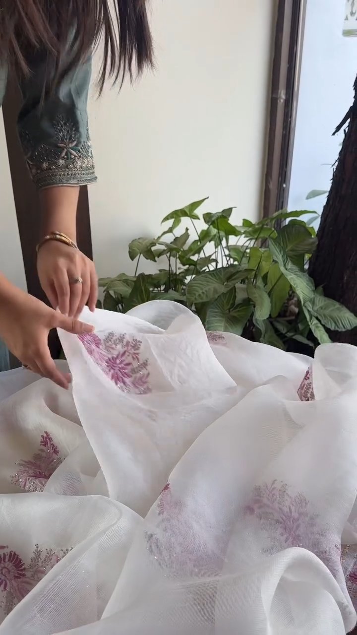 Natural White Net Organza Chikankari Saree With Mukaish Kamdani