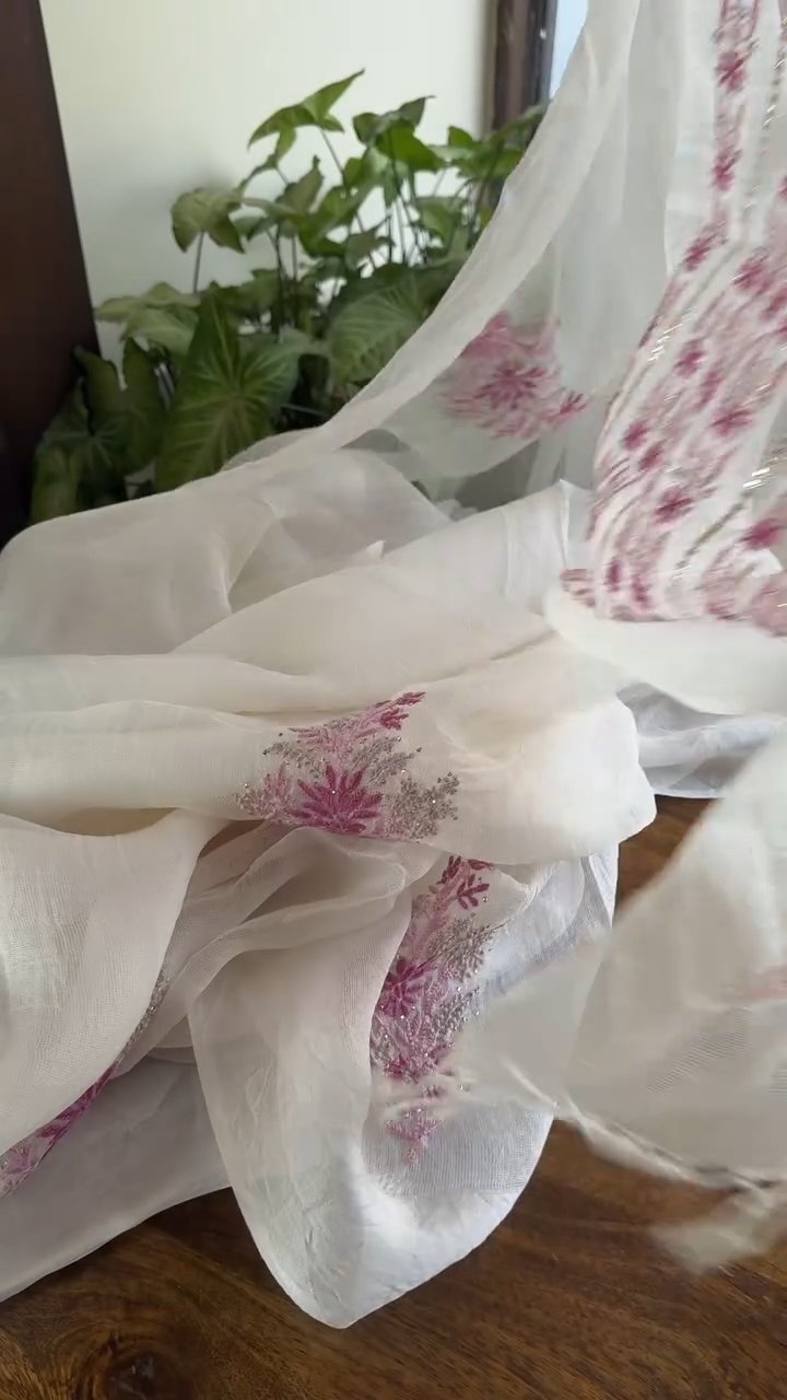 Natural White Net Organza Chikankari Saree With Mukaish Kamdani