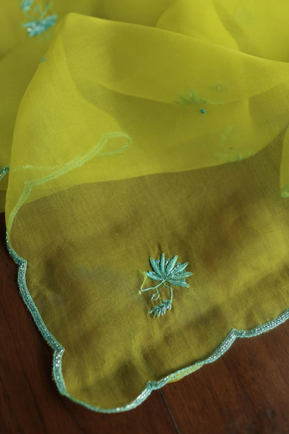Neon Noor Organza Chikankari Unstitched Kurta Dupatta Set