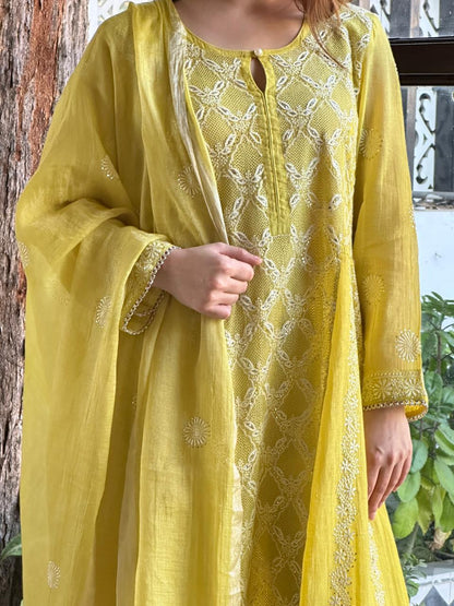 Neon Shade Shade | Tissue Silk Chikankari Work Kalidaar Kurta Dupatta Set