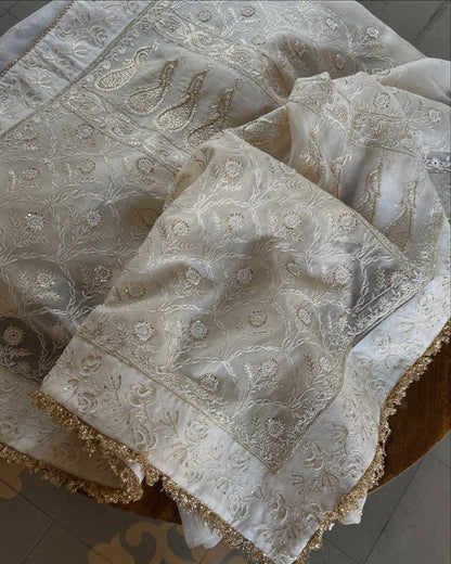 Noor Organza White Butterfly Chikankari Saree