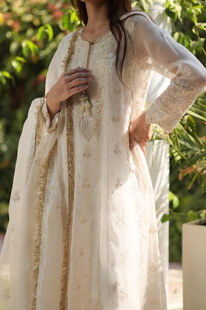 Dove White Noor Organza Chikankari Anarkali
