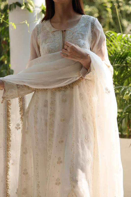 Dove White Noor Organza Chikankari Anarkali