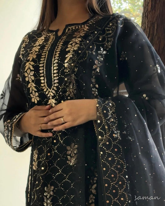 Noor Organza Applique Kurta Set