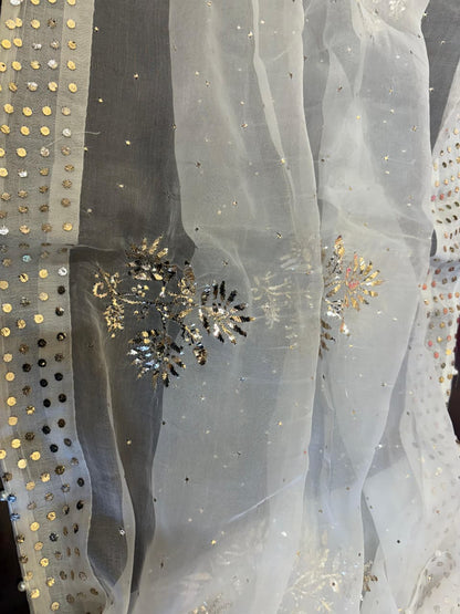 Noor Organza Mukaish Badla Rose Motif Dupatta