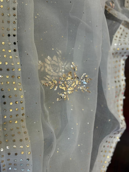 Noor Organza Mukaish Badla Rose Motif Dupatta