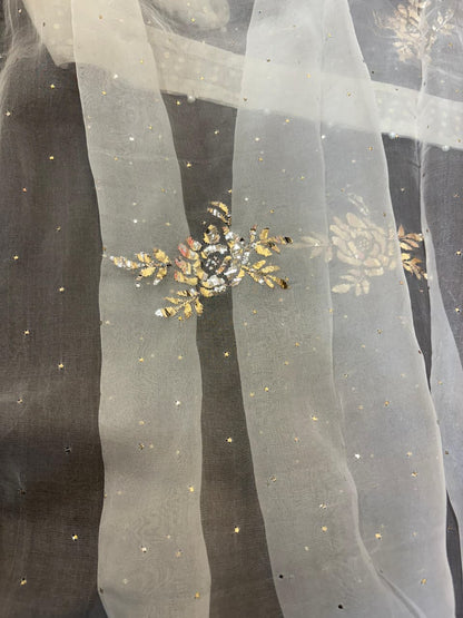 Noor Organza Mukaish Badla Rose Motif Dupatta