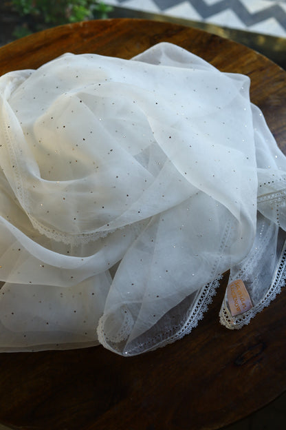 Noor White Organza With Mukaish Kamdani Dupatta