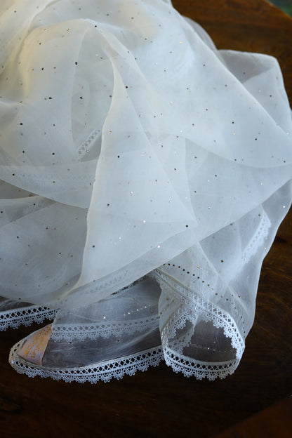 Noor White Organza With Mukaish Kamdani Dupatta