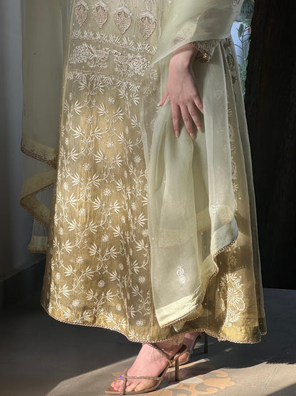 Olive Green Ombre Shade Noor Organza Chikankari A Line Kurta With Dupatta
