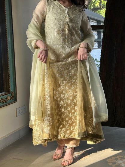 Olive Green Ombre Shade Noor Organza Chikankari A Line Kurta With Dupatta