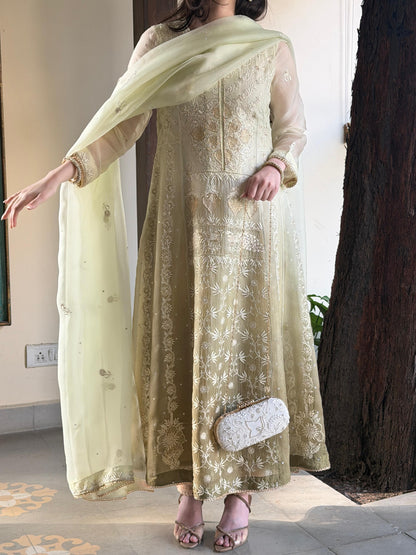 Olive Green Ombre Shade Noor Organza Chikankari A Line Kurta With Dupatta