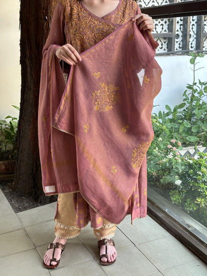 Onion Pink Tissue Silk Chikankari Angarkha