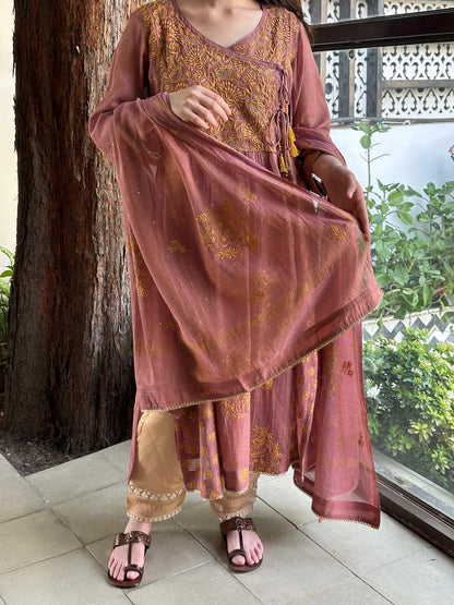 Onion Pink Tissue Silk Chikankari Angarkha