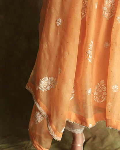 Orange Noor Organza Silk Fine Chikankari with Kamdani Ready to Wear Angarkha