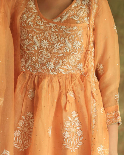 Orange Noor Organza Silk Fine Chikankari with Kamdani Ready to Wear Angarkha