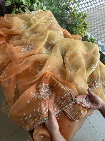 Orange Shade Organza Saree with Ari Work, Highlight Border & Tassels