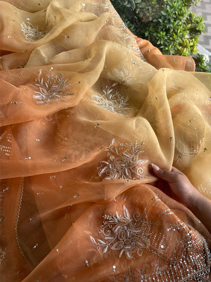 Orange Shade Organza Saree with Ari Work, Highlight Border & Tassels