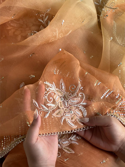 Orange Shade Organza Saree with Ari Work, Highlight Border & Tassels