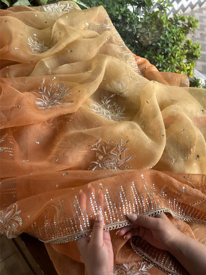 Orange Shade Organza Saree with Ari Work, Highlight Border & Tassels
