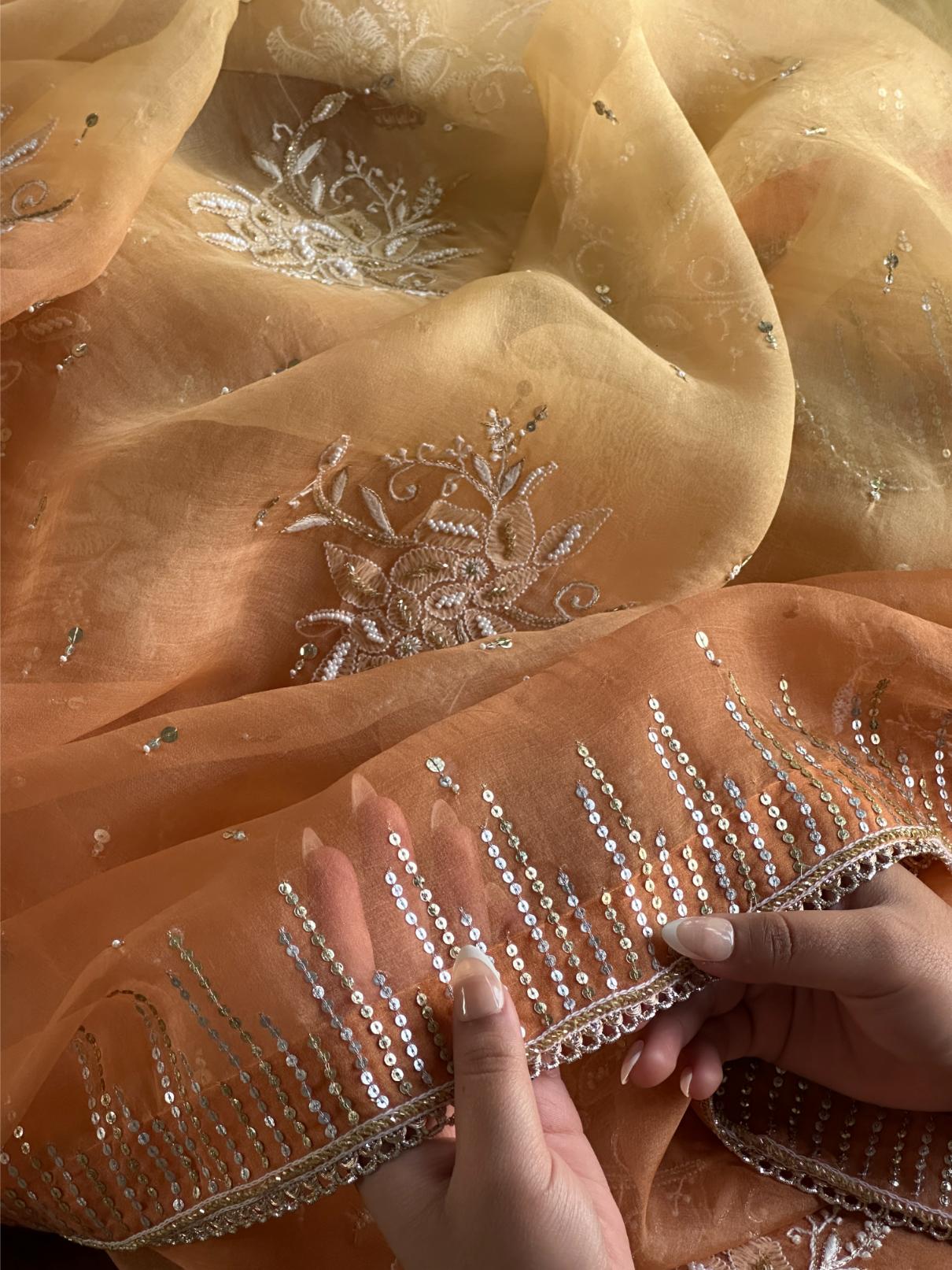 Orange Shade Organza Saree with Ari Work, Highlight Border & Tassels