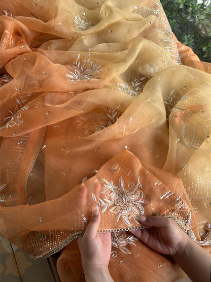 Orange Shade Organza Saree with Ari Work, Highlight Border & Tassels