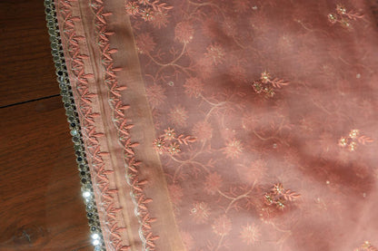 Pastel Peach Noor Organza Silk Chikankari Unstitched Kurta Dupatta Set