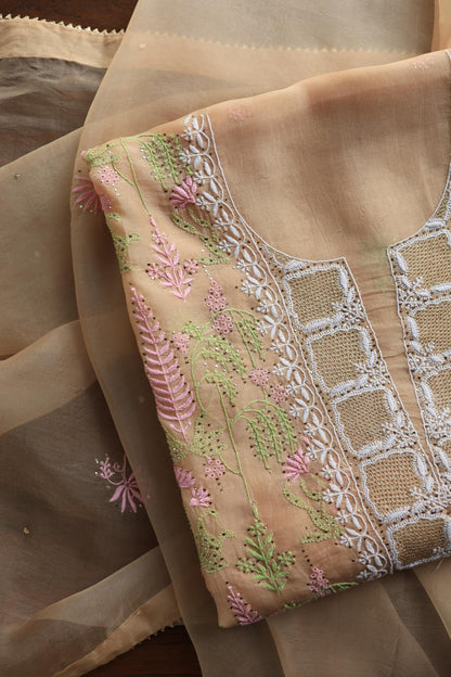 Pastel Peach Noor Organza Silk Chikankari With Kamdani Fabric