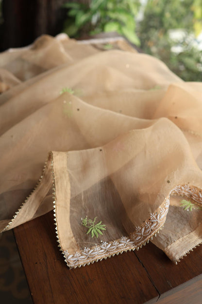 Pastel Peach Noor Organza Silk Chikankari With Kamdani Fabric