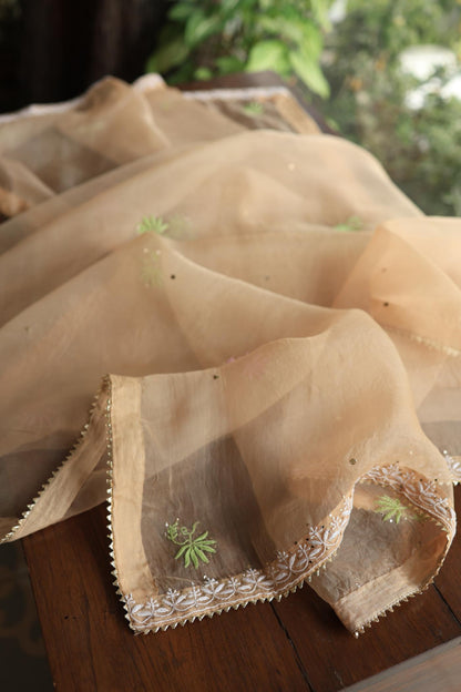 Pastel Peach Noor Organza Silk Chikankari With Kamdani Fabric