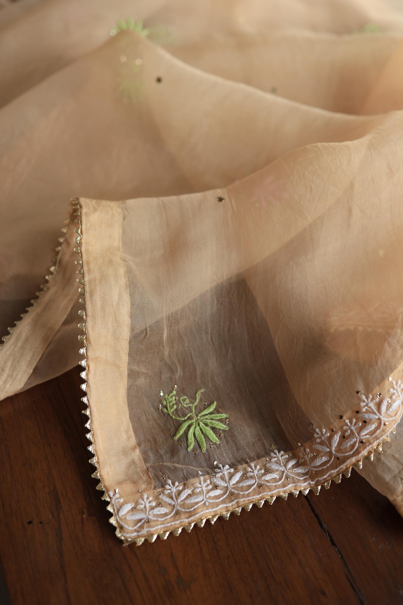 Pastel Peach Noor Organza Silk Chikankari With Kamdani Fabric