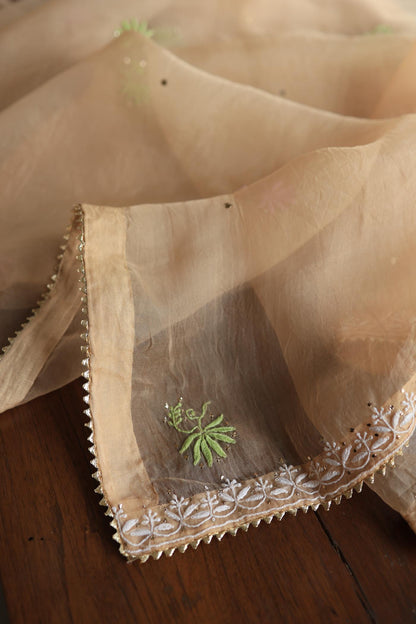 Pastel Peach Noor Organza Silk Chikankari With Kamdani Fabric