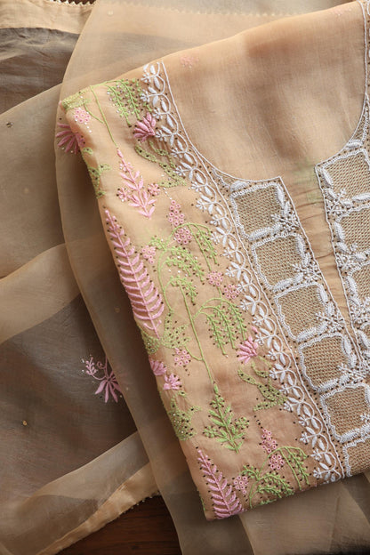 Pastel Peach Noor Organza Silk Chikankari With Kamdani Fabric