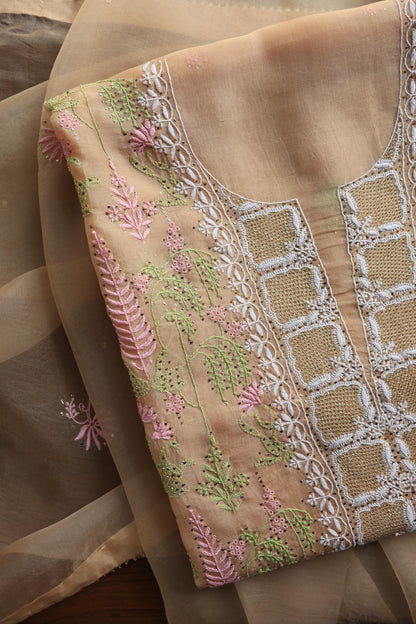 Pastel Peach Noor Organza Silk Chikankari With Kamdani Fabric