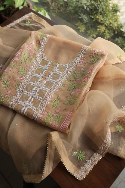 Pastel Peach Noor Organza Silk Chikankari With Kamdani Fabric