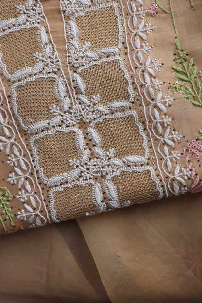 Pastel Peach Noor Organza Silk Chikankari With Kamdani Fabric