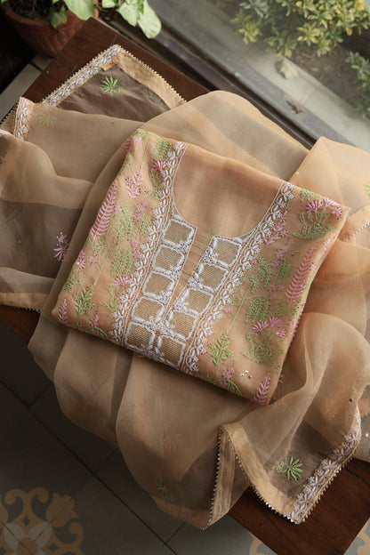 Pastel Peach Noor Organza Silk Chikankari With Kamdani Fabric