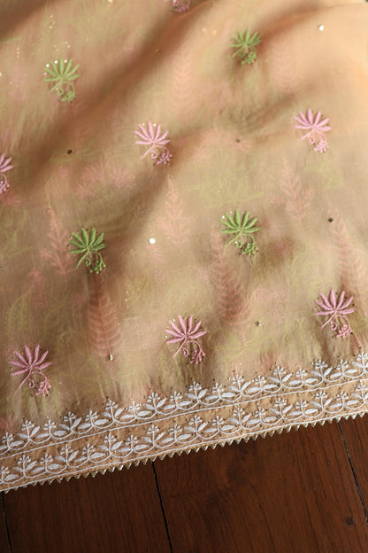 Pastel Peach Noor Organza Silk Chikankari With Kamdani Fabric