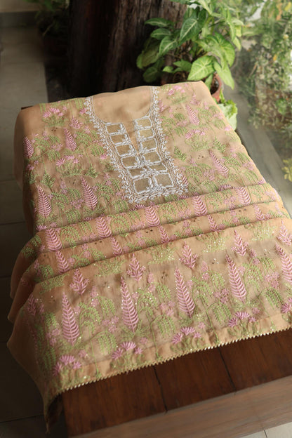 Pastel Peach Noor Organza Silk Chikankari With Kamdani Fabric