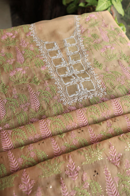 Pastel Peach Noor Organza Silk Chikankari With Kamdani Fabric