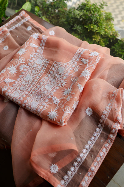 Pastel Rose Shade Noor Organza Banarasi Silk Chikankari Unstitched Kurta Dupatta Set