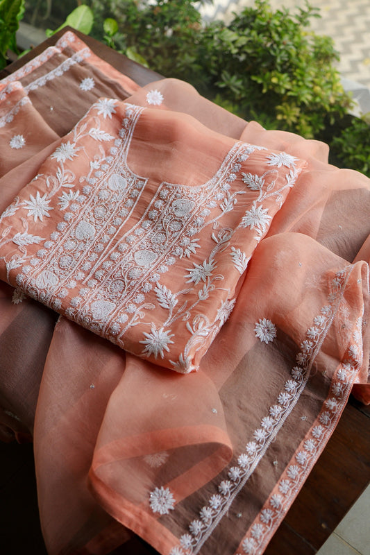 Pastel Rose Shade Noor Organza Banarasi Silk Chikankari Unstitched Kurta Dupatta Set