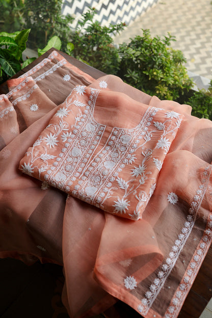 Pastel Rose Shade Noor Organza Banarasi Silk Chikankari Unstitched Kurta Dupatta Set