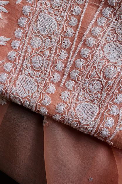 Pastel Rose Shade Noor Organza Banarasi Silk Chikankari Unstitched Kurta Dupatta Set