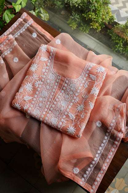 Pastel Rose Shade Noor Organza Banarasi Silk Chikankari Unstitched Kurta Dupatta Set